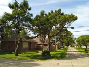 "Caminando por las calles de Santa Clara, naturaleza en estado puro"