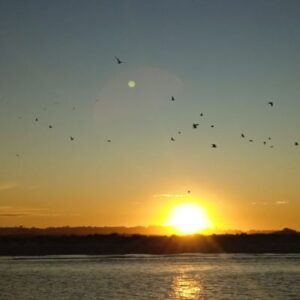 "Atardecer con aves en la costa atlantica argentina"