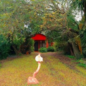 "Naturaleza y encanto, caminando por Santa Clara del Mar"