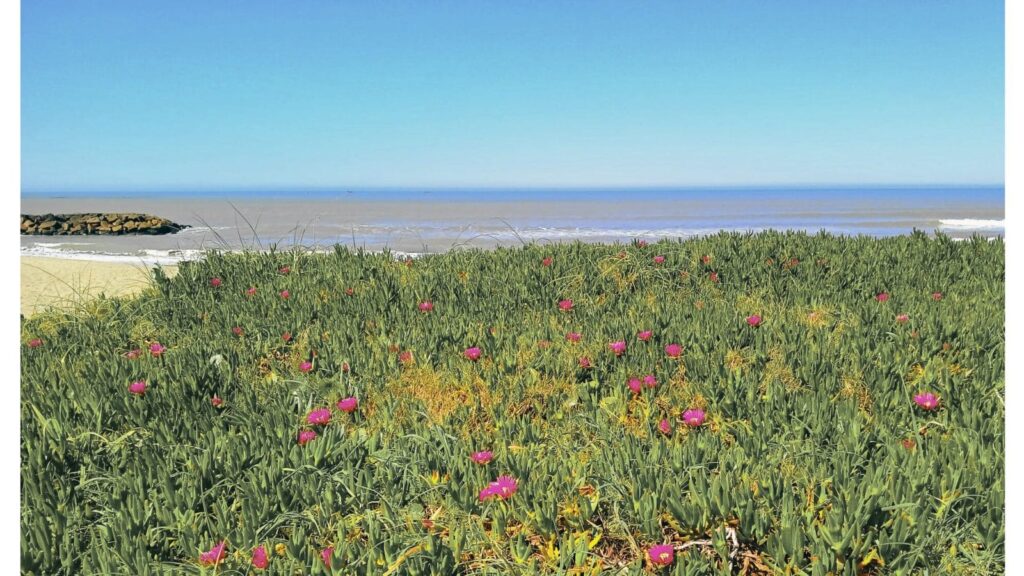 "Qué hacer en Santa Clara del Mar playas gastronomía actividades verano"